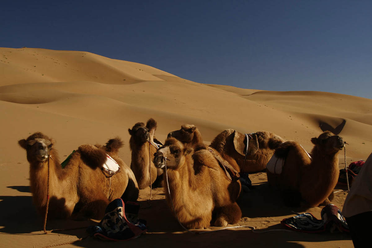 Badain Jaran Desert Hiking