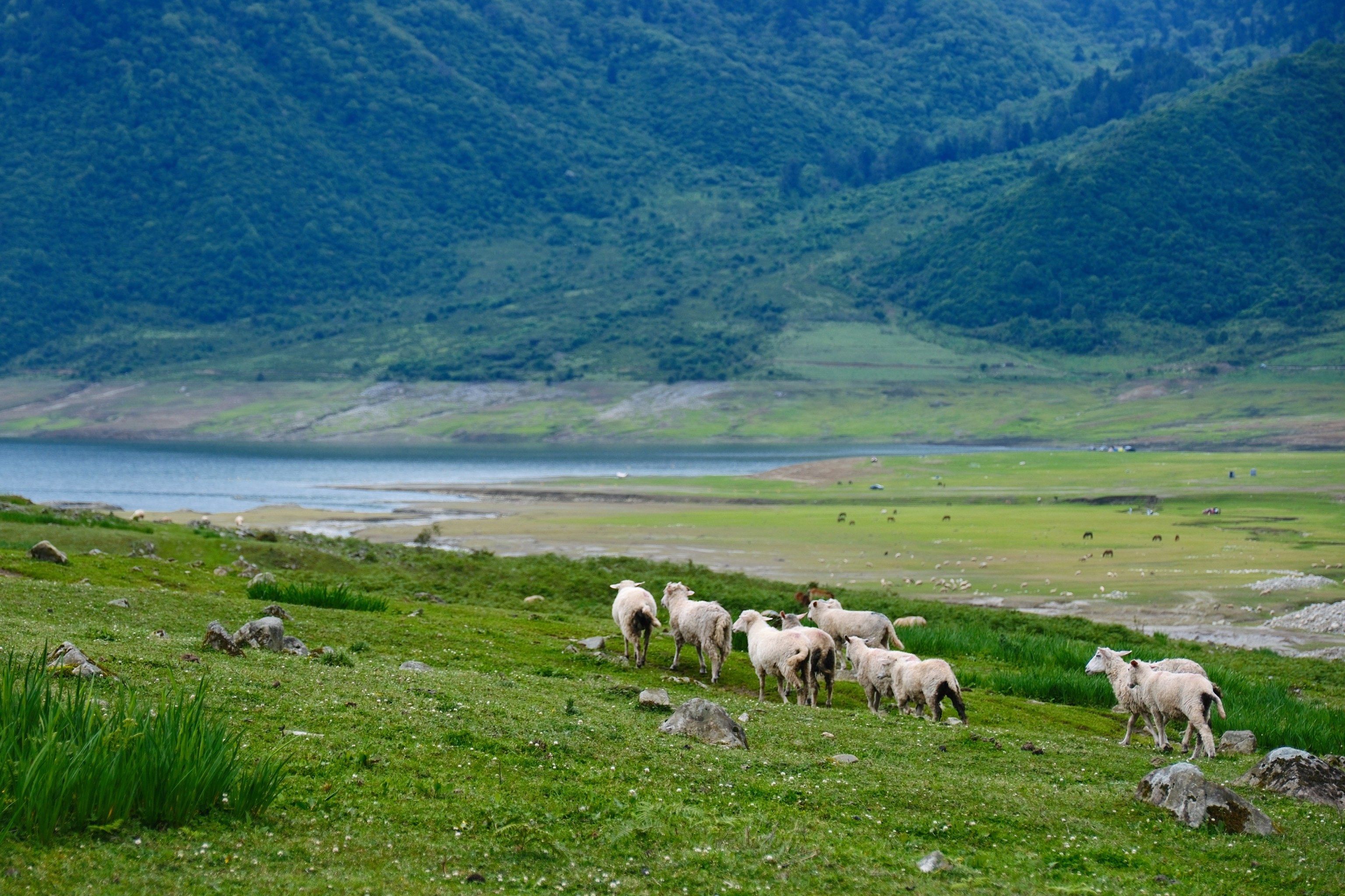 Yunnan Travel Guide